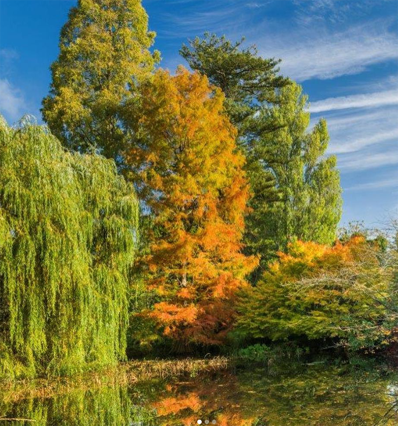 CAMBRIDGE BOTANIC GARDEN