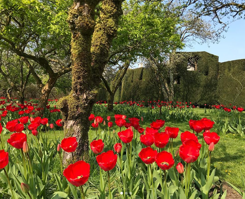 LEVENS HALL
