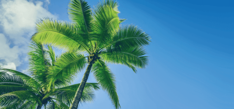 Les 5 destinations touristiques du moment
