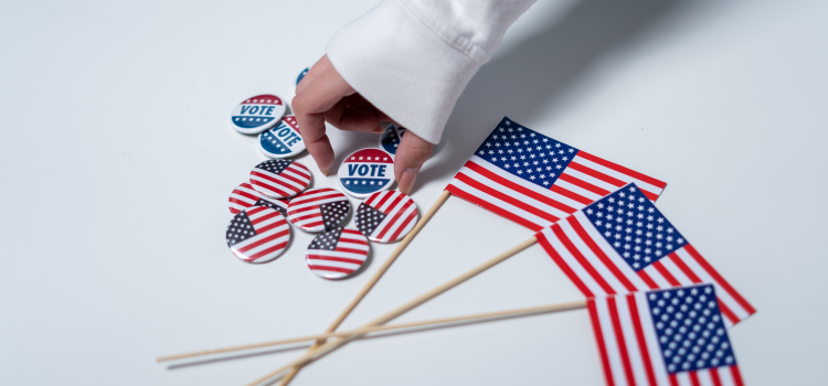 us flag and pins