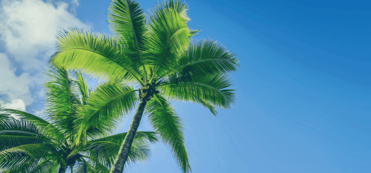 Les 5 destinations touristiques du moment