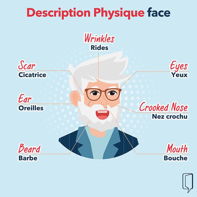 description physique visage en anglais