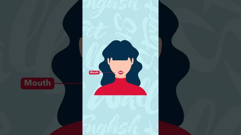 Embedded thumbnail for Les parties du visage en anglais : vocabulaire illustré