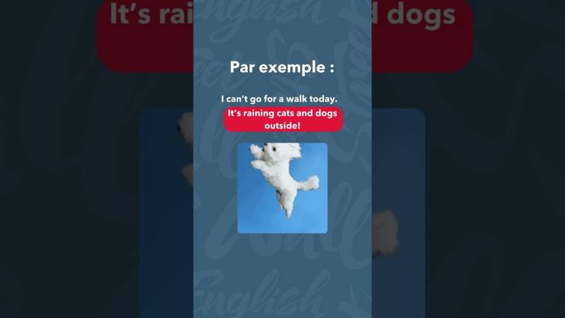 Embedded thumbnail for 3 expressions idiomatiques anglaises à connaître absolument