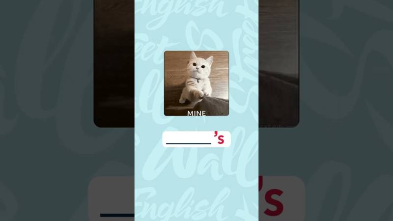 Embedded thumbnail for L’apostrophe &quot;s&quot; en anglais : tout ce qu’il faut savoir pour exprimer la possession